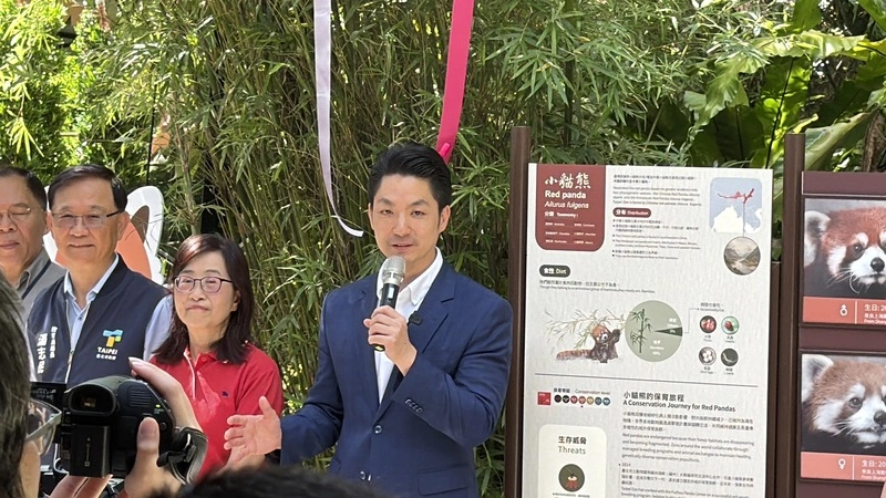 雙城論壇小貓熊亮相上海團未出席　蔣萬安：很可惜