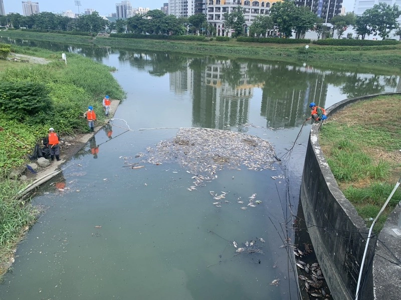 高雄後勁溪飄死魚  水利局初判因水位降、溶氧低