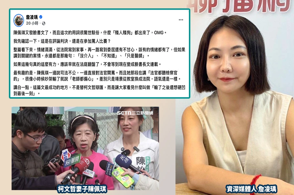 陳佩琪飆罵法官還嗆「賤人賤狗」…詹凌瑀狠酸：是在參加罵人比賽？網友補刀「快去擦地板」