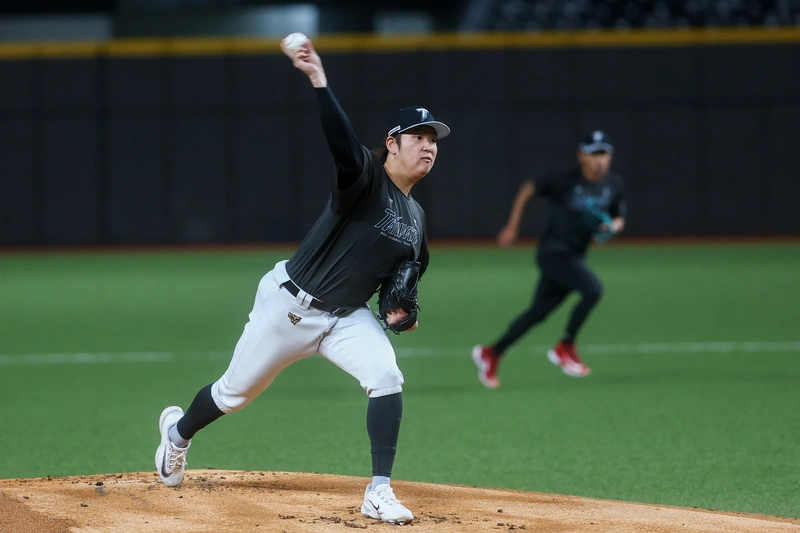 WBC台灣隊台北集訓　台美混血好手有機會提前來台