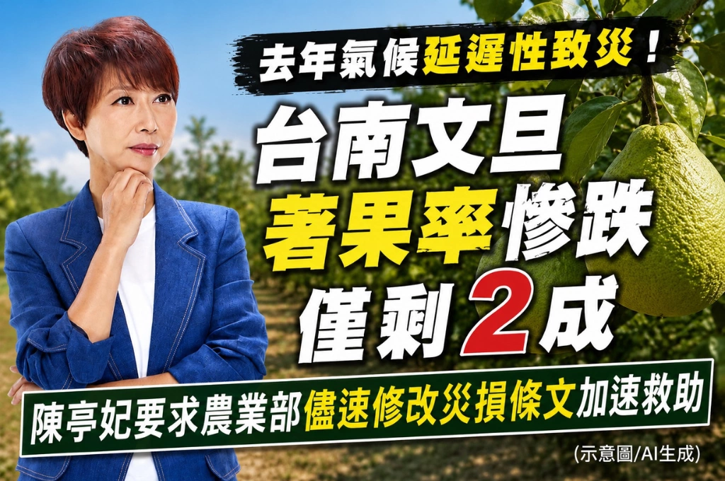 台南文旦著果率慘剩2成！陳亭妃要求農業部快修法　救柚農別再拖