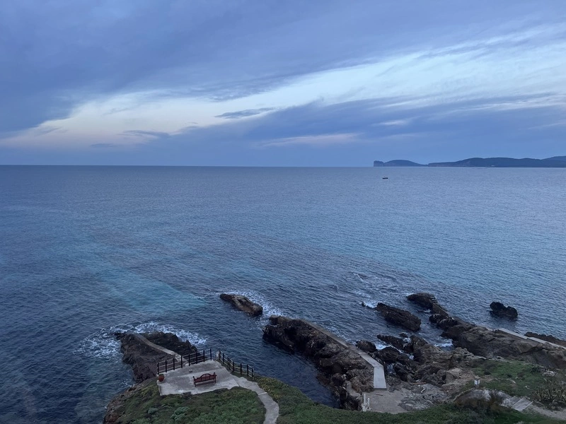 地中海紅珊瑚「致命吸引力」  潛水員冒險採紅金