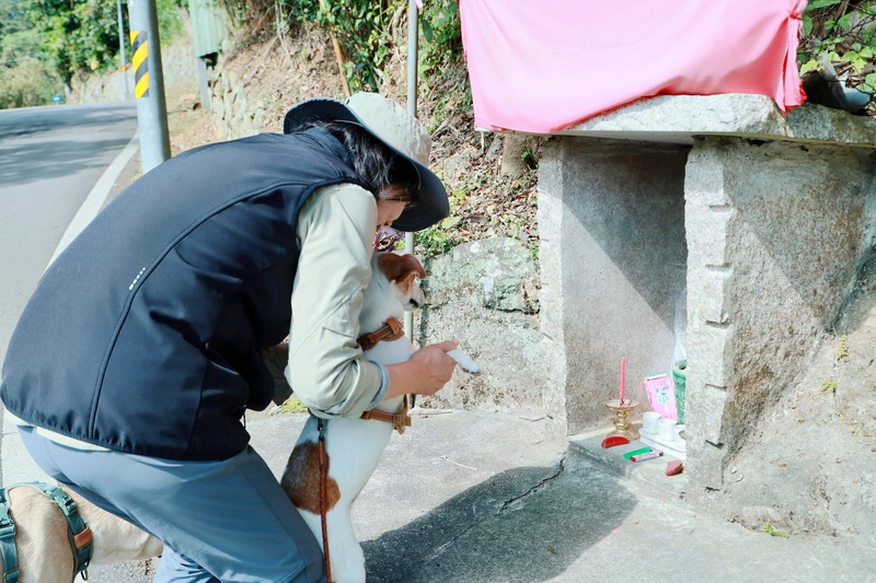 蔡英文山居迎新春　拔菜採橘還替狗狗拍美照