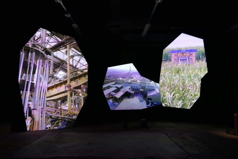 台灣藝術家創作作品 「等晶播種」日本展出