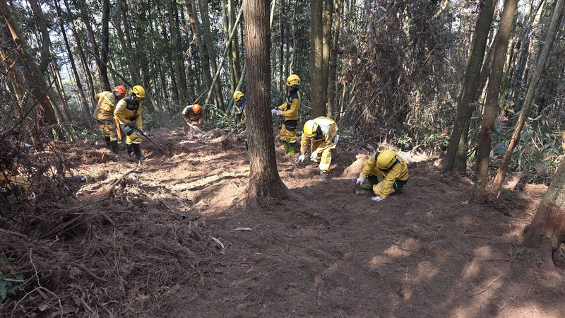 南投埔里森林延燒40公頃　搶救12天剩零星竄煙