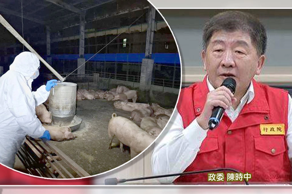 中市府至今仍「未提疫調報告」!陳時中指「養豬場清消後仍驗出陽性病毒」:已發放SOP「請地方遵守」