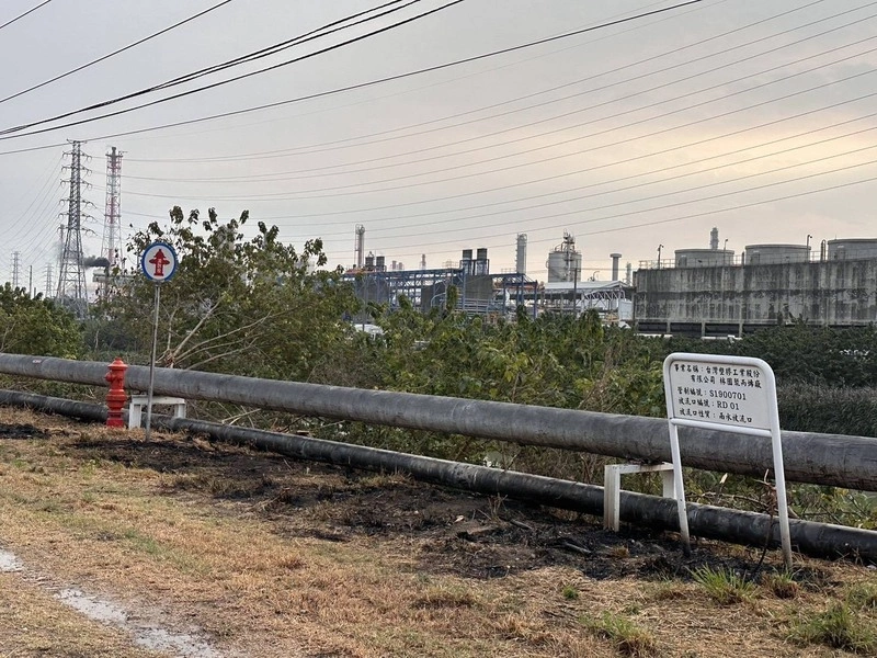 高雄男抓綠鬣蜥誤觸電線 身體燒傷送醫