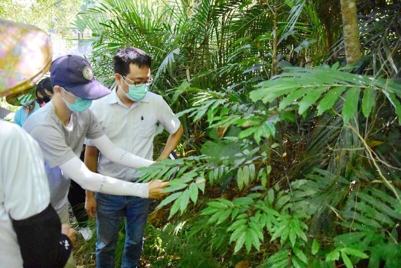 台東農改場助酒麴作物保種  傳承原民文化