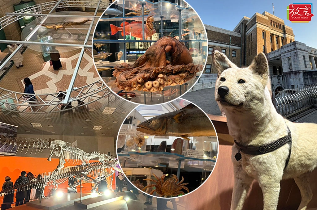 【桑梓散步】東京國立科學博物館巡犬記