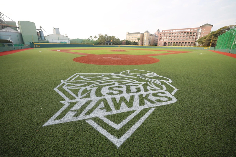 台鋼雄鷹訓練基地主球場（2）