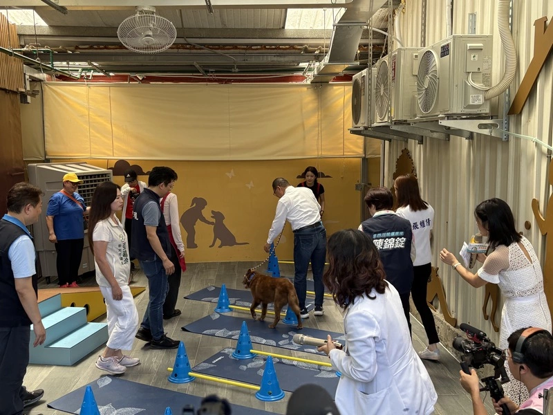 全台首座動物長照園區中和啟用　推復健免費課程