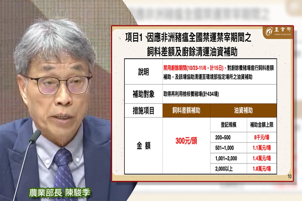 養豬產業看過來！農業部祭11億豬瘟補貼「飼料差額每頭補300元、肉攤暫停營業補3萬元」...預計下星期一接受申請