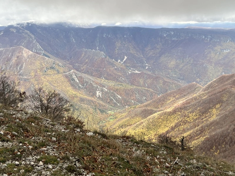 義大利極端天氣增加  破壞環境生態