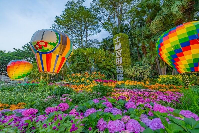 士林官邸菊展開幕