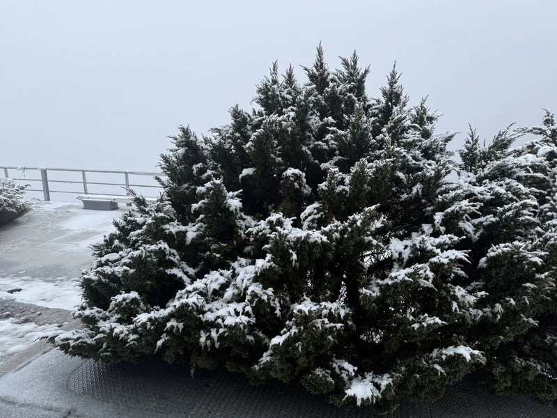 玉山北峰降雪　成銀白世界