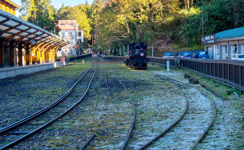 阿里山國家森林遊樂區結霜（2）