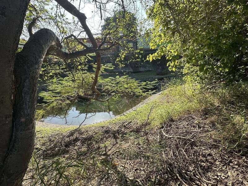 屏東佳冬天然湧泉　擬發展生態園區