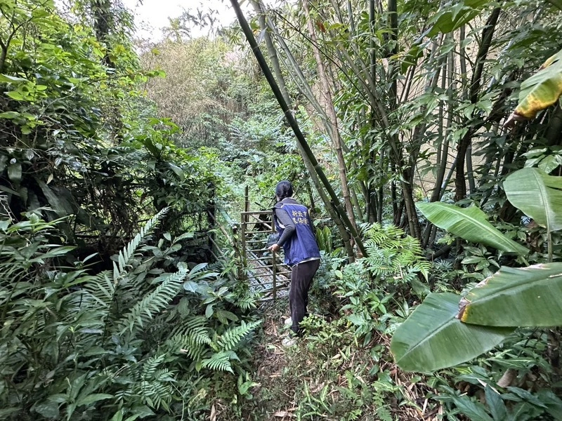 新店五重溪染綠　環保局續追污染源