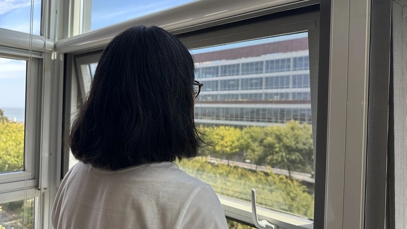 外國月亮比較圓？　常春藤美寶：寧做小池塘的大魚
