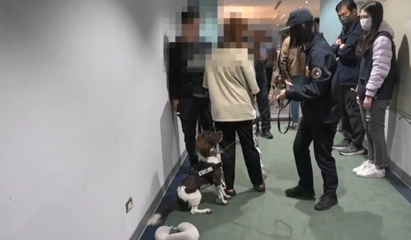 警犬立功　2女私密處藏384克毒品入境遭逮