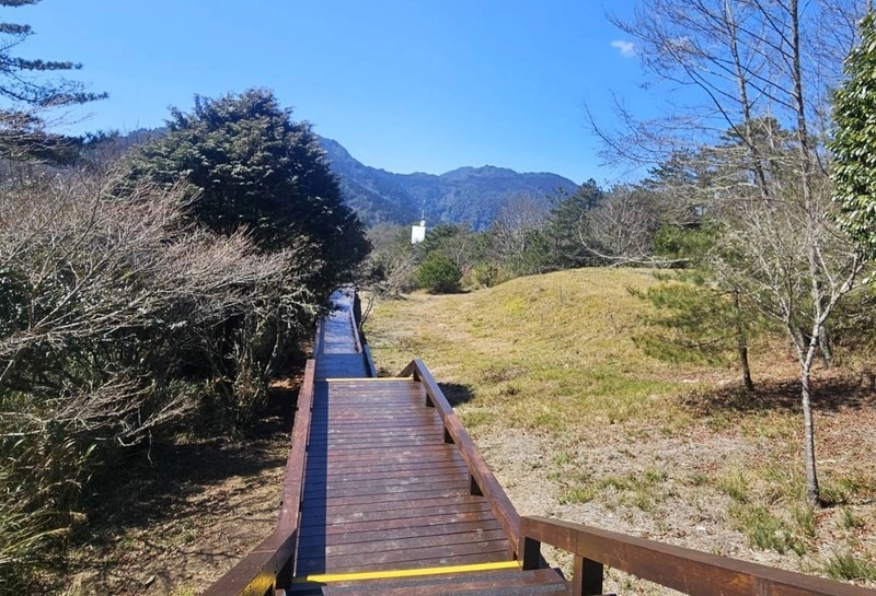 觀霧「雲霧步道」修繕完成　14日全線恢復開放