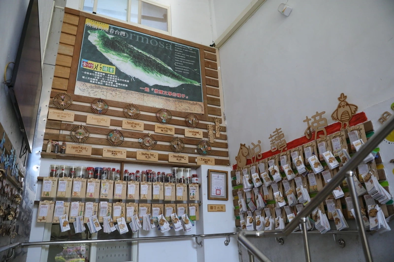 廢校危機變轉機  金竹國小用音樂閱讀守護偏鄉孩童