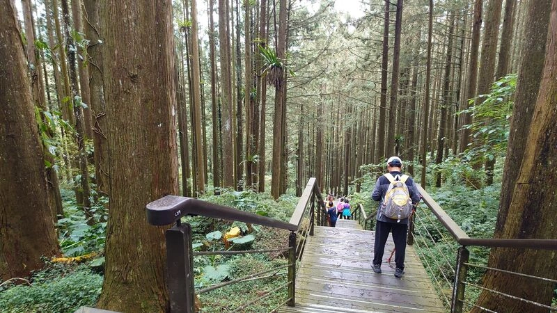 阿里山奮起湖公廁改善完成　融入地景與山水美學