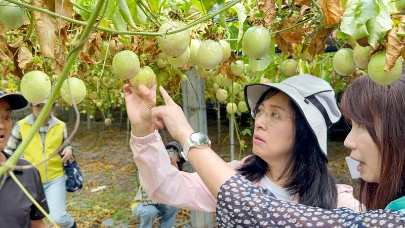 吳秀華喊接棒慢經濟　陳瑩邀農業部會勘災農損