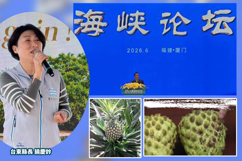 海峽論壇涉台10項措施對接簽約 北京採購鳳梨釋迦石斑魚 台東縣長饒慶鈴疑違規遭查
