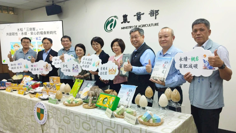 桃園農改場3款水稻品種　節水減碳省工各具特色