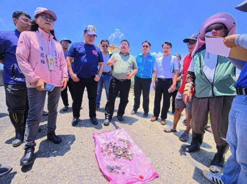 大雨釀文蛤死亡7成　嘉縣府已申請農業部救助