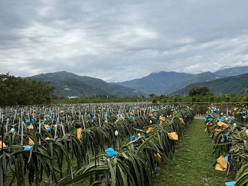 台東縣議會通過縣有地放領　縣政府：落實還地於民