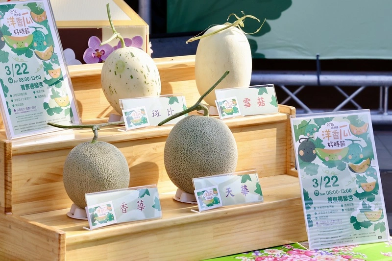 台南洋香瓜進入產季　好時節系列活動22日登場