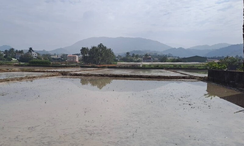 旗山溪枯水影響農田輪灌　農水署供水延長至4天