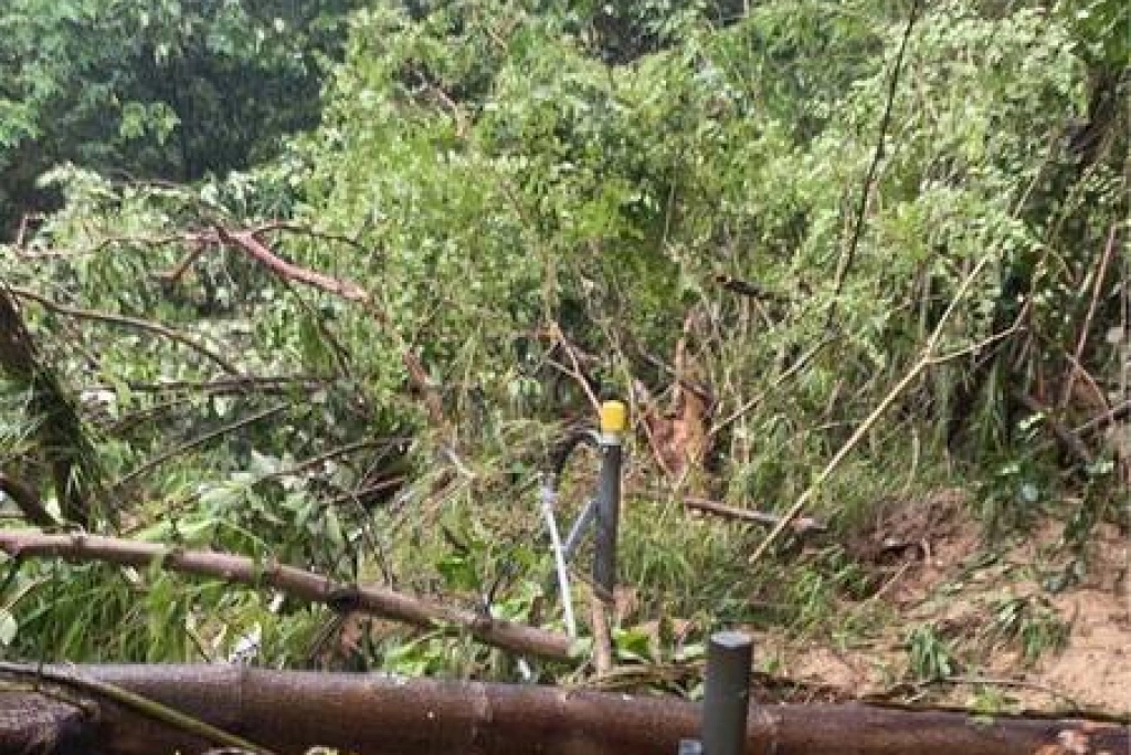 高鐵：新竹路段邊坡滑動告警 肇因樹木倒塌