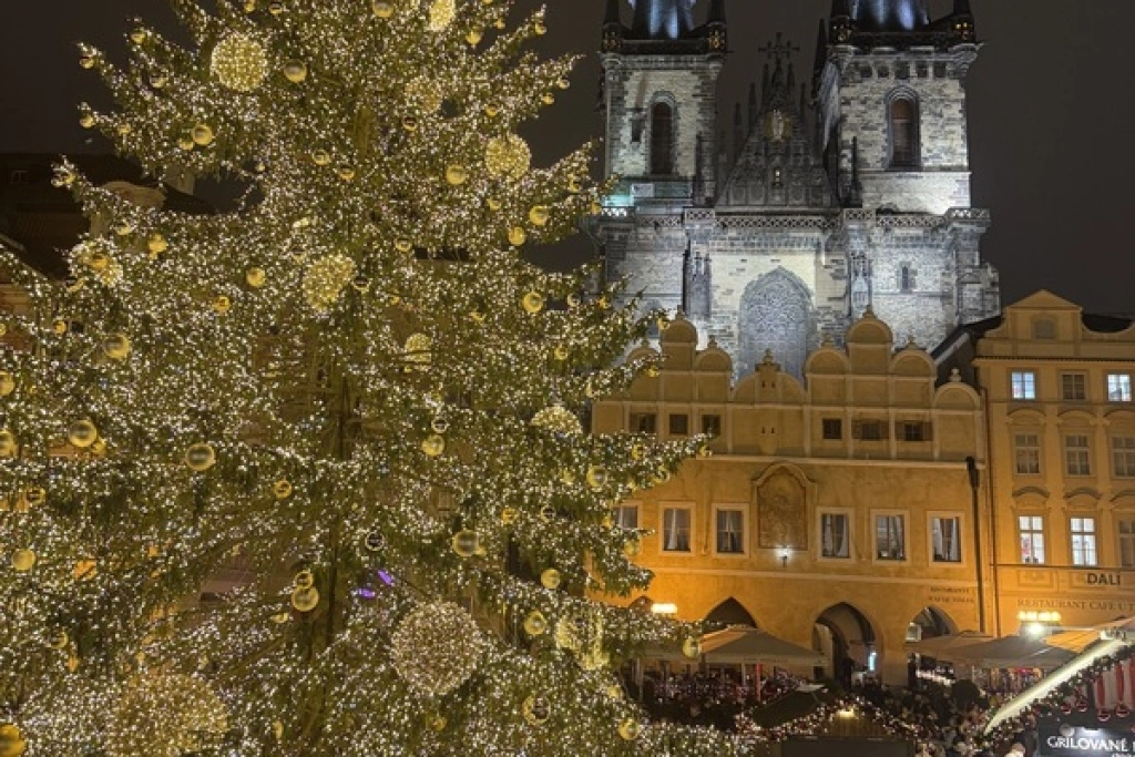 布拉格舊城廣場高大閃亮耶誕樹
