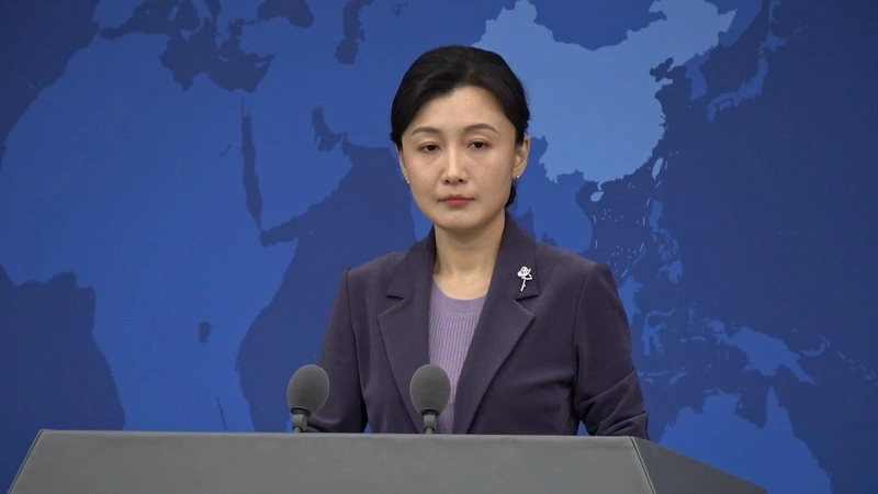 中國大陸國台辦發言人張晗（2）