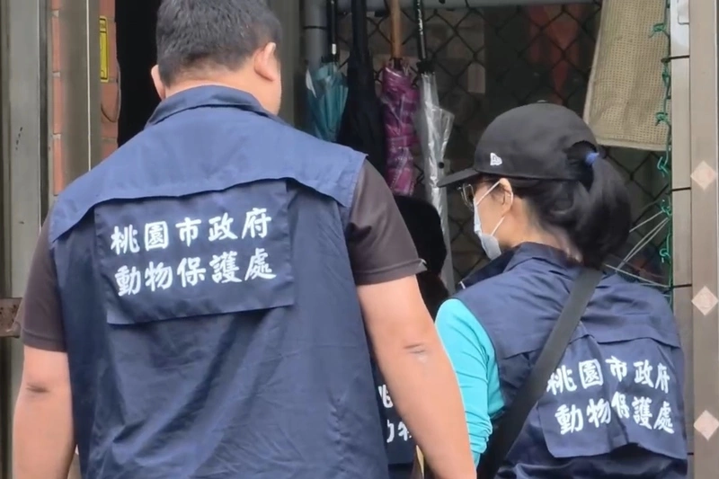 桃園某訓犬學校疑似虐狗　動保處稽查後依法開罰
