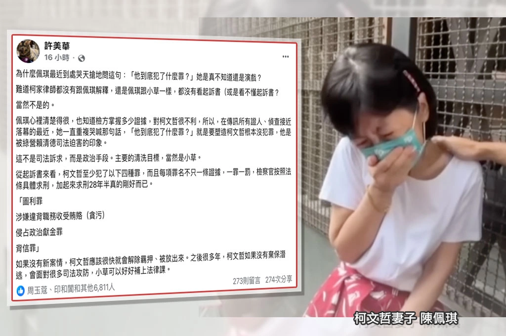 陳佩琪為何頻喊「柯文哲犯什麼罪？」許美華分析「非司法訴求而是政治手段」：清洗目標是小草