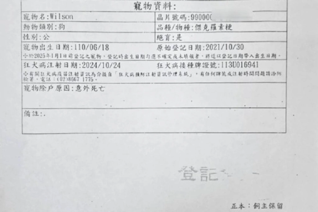 駁斥搜救犬Wilson受虐　花蓮消防局公布照片及獸醫院證明