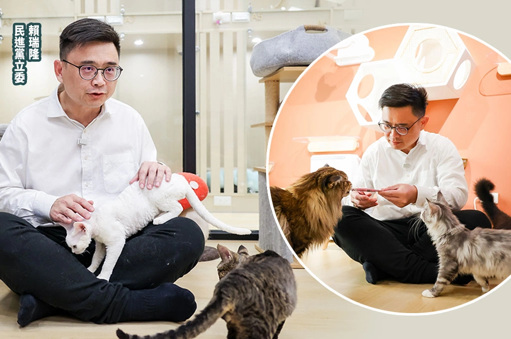參選高雄市長出招!「毛爸」賴瑞隆赴貓咖拋「毛孩四寶」寵物政策藍圖:讓高雄成寵物友善之都